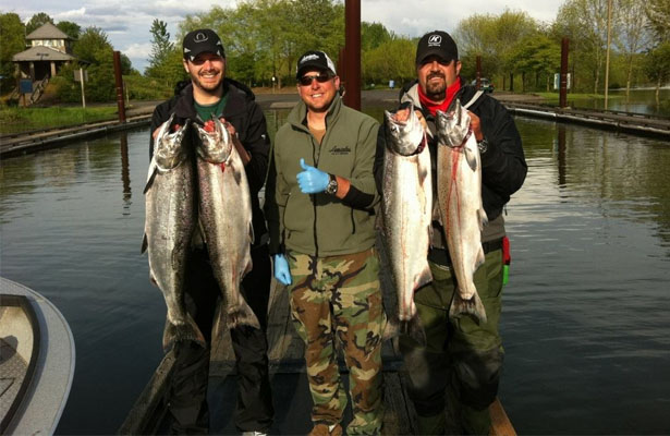 Portland Spring Chinook