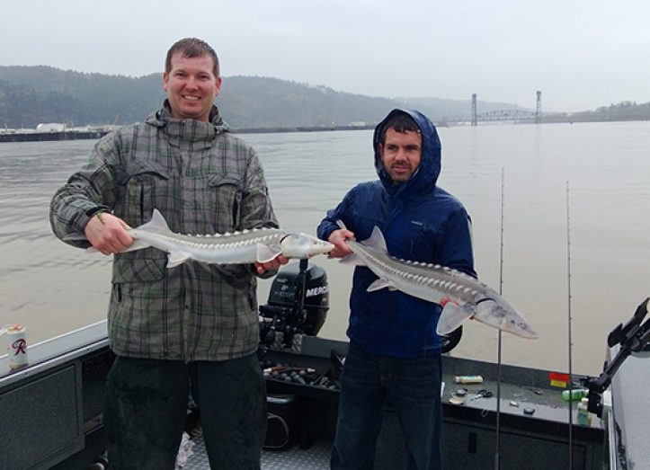 portladnd sturgeon fishing