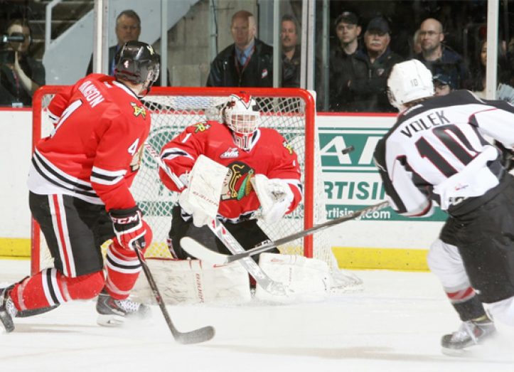 winterhawks