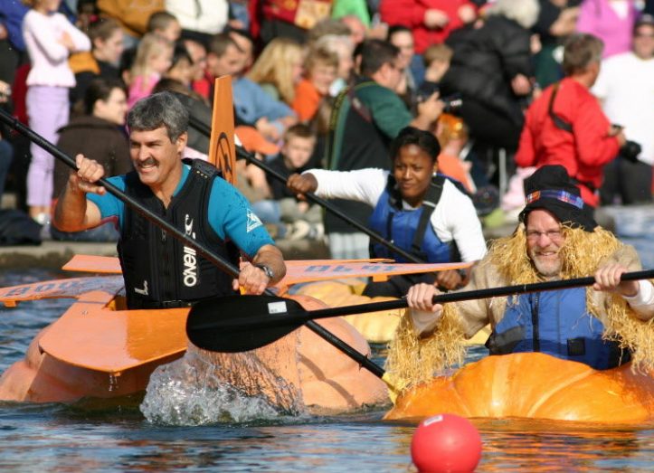 pumpkin regatta