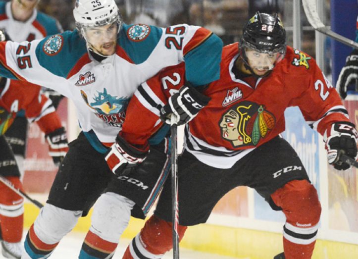 winterhawks