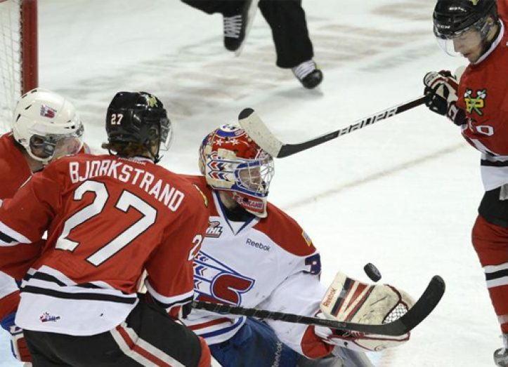 winterhawks
