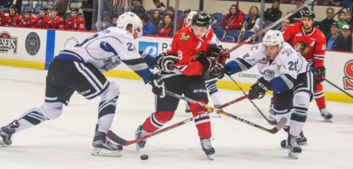winterhawks-702x336